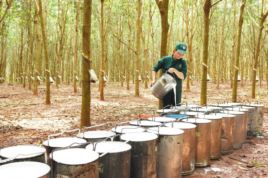 Price of natural rubber in market